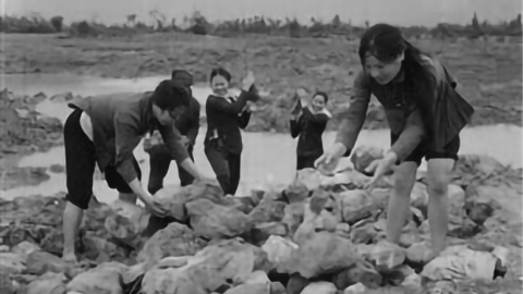 Ngã xuống trước bình minh