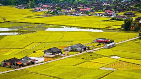 Tổng điều tra nông thôn, nông nghiệp toàn quốc