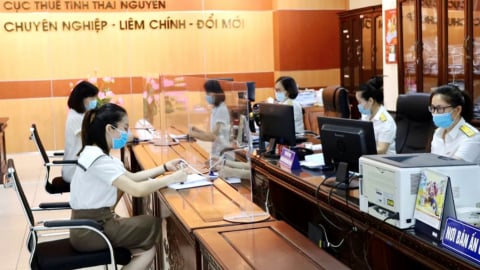 Sắp xếp 20 chi cục thuế khu vực thành 34 Thuế tỉnh, thành phố
