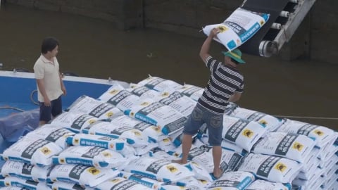 Phân bón Bình Điền lãi đậm, cổ phiếu BFC 'sáng cửa' vượt đỉnh