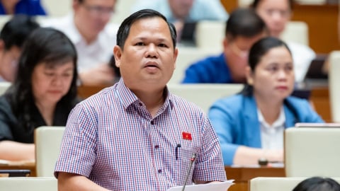ĐBQH: 'Ngành than, ngành điện rất lỗ nhưng doanh nghiệp Nhà nước vẫn độc quyền'