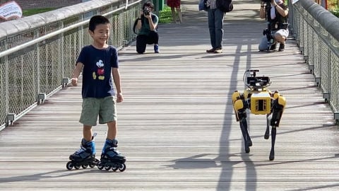 Robot chó: Giải pháp công nghệ giá rẻ bùng nổ tại Singapore
