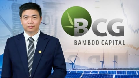 Cổ phiếu BCG dậy sóng sau thông tin Bamboo Capital thay Tổng giám đốc
