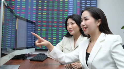 Hệ sinh thái Bamboo Capital và APEC 'tái sinh'
