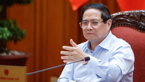 'Cả trăm tấn hàng giả mà không biết là không còn ý chí chiến đấu, hoặc bị mua chuộc'