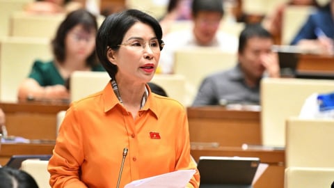 Hộ kinh doanh doanh thu hàng chục tỷ nhưng áp thuế khoán vài triệu