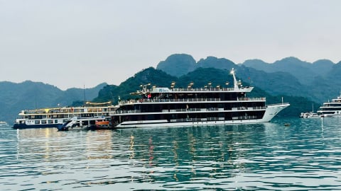Tàu du lịch bị dừng hoạt động vì khách dùng chai nhựa 1 lần trên Vịnh Hạ Long