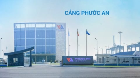 Lộ loạt giao dịch 'vượt rào', Cảng Phước An bị phạt nặng