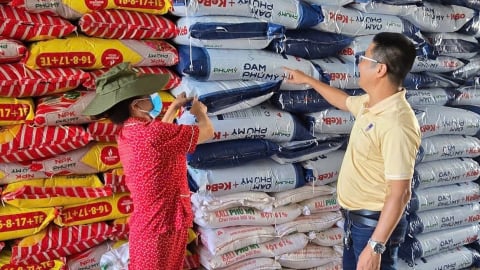 Phú Mỹ cung ứng gần nửa triệu tấn phân bón cho vụ hè thu