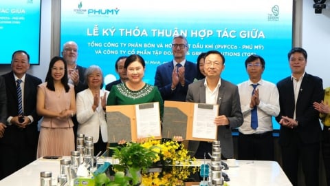 PVFCCo - Phú Mỹ và TGS hợp tác phát triển chuỗi giá trị xanh