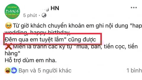 Chuyển khoản ghi ‘đêm qua em tuyệt lắm’: Chiêu né thuế và nguy cơ án hình sự