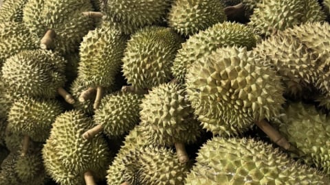 Sầu riêng Việt bị Trung Quốc trả về hàng loạt: Phải tự trách mình
