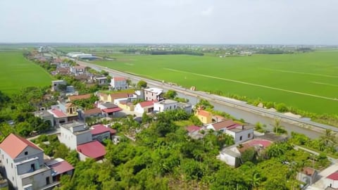 Trước ngày sáp nhập với Ninh Bình, Nam Định đưa 495 lô đất lên ‘sàn’ đấu giá