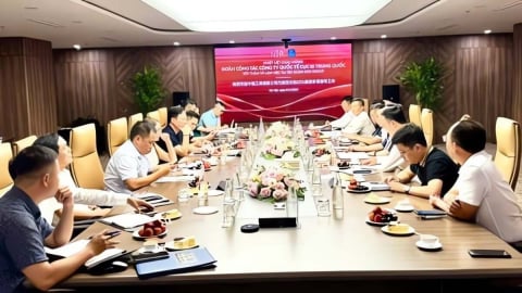 Công ty Quốc tế Cục III Trung Quốc xúc tiến hợp tác với KITA Group 