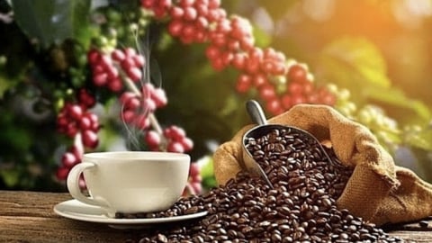 Xuất khẩu top đầu thế giới, người Việt vẫn mơ 1 ly cà phê thật và sạch