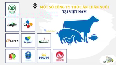 'Đại gia' ngoại chiếm lĩnh ngành chăn nuôi, cuộc chơi tỷ USD tại Việt Nam