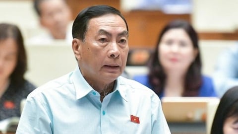 ĐBQH lo khu thương mại tự do ‘nơi đông đúc, chỗ lại trống trơn’