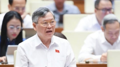 'Hàng giả ngày càng tinh vi, có sự móc ngoặc của cán bộ công quyền'