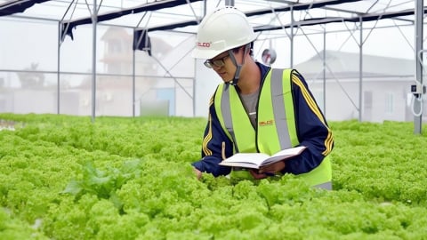 Startup xanh Việt Nam: Rủi ro đầu tư cao, khó tiếp cận vốn 