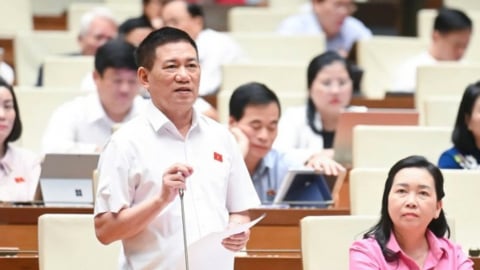 'Nên áp dụng thuế khoán với hộ buôn bán nhỏ, doanh thu dưới 1 tỷ đồng'