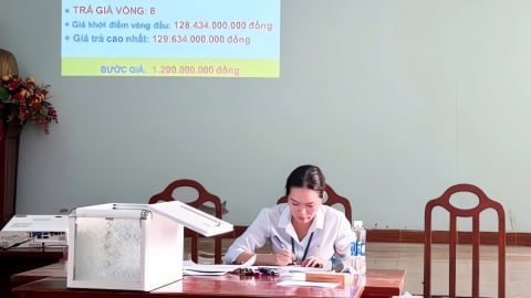 Đấu giá mỏ cát ở Quảng Nam: Khởi điểm vài tỷ, được đẩy lên hàng trăm tỷ