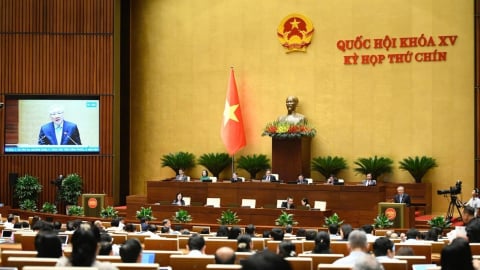 Chính phủ: 'Không khoan nhượng, không vùng cấm với tội phạm hàng giả'