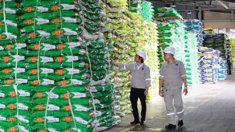 PVFCCo - Phú Mỹ và bước chuyển mình trong kinh doanh