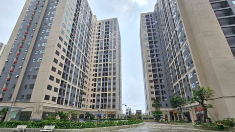 Đà Nẵng gọi đầu tư dự án nhà ở xã hội hơn 818 tỷ đồng