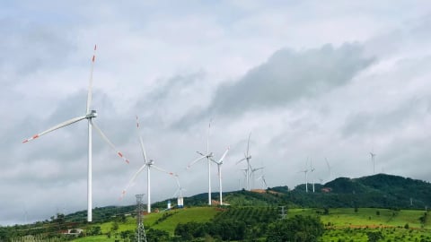 Quảng Trị: Đầu tư thêm hai dự án điện gió, tổng vốn 3.000 tỷ đồng