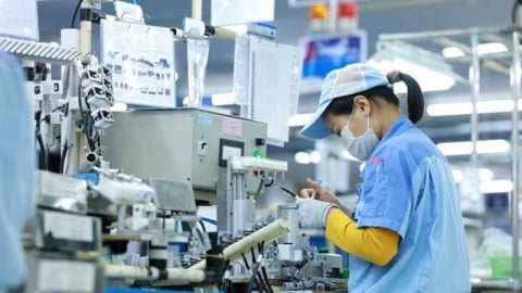 Số doanh nghiệp thành lập mới tăng vọt trong tháng 6