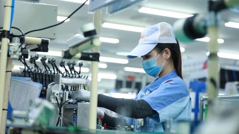 'Mỹ áp thuế 20%, doanh nghiệp có thể tính toán và sống được'