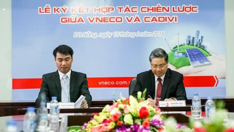 VNECO: Liên tục trượt thầu, bị xử phạt vì báo ‘lãi ảo’