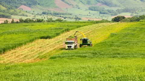 Quảng Ninh: Nhà đầu tư muốn rót 5 tỷ USD làm Tổ hợp kinh tế tuần hoàn năng lượng xanh