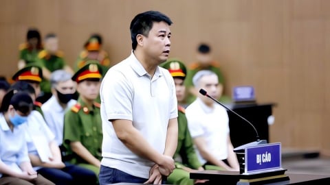 Chủ tịch Tập đoàn Phúc Sơn Nguyễn Văn Hậu lĩnh án 30 năm tù