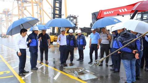 Doanh nghiệp ở Hải Phòng sẵn sàng ứng phó bão WIPHA