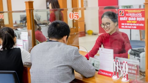 Agribank tích cực giải ngân cho Đề án 1 triệu héc-ta lúa chất lượng cao