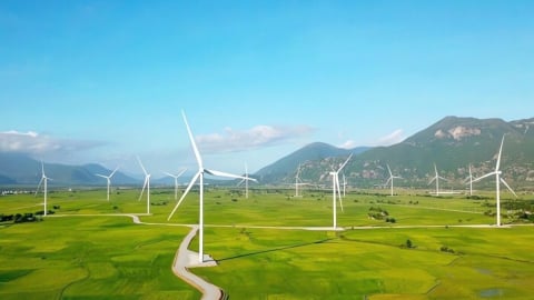 Loạt dự án điện tái tạo 'bế tắc', Thủ tướng yêu cầu khẩn trương gỡ khó