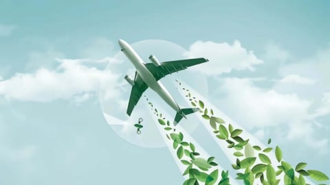  Nắm hàng chục triệu tín chỉ carbon, Việt Nam thiếu thị trường giao dịch