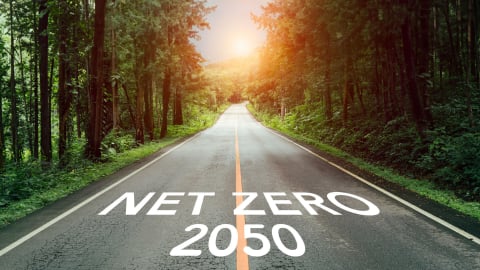 Từng tấc đất rừng và từng hạt lúa thơm: Nông dân Việt tiến đến Net Zero