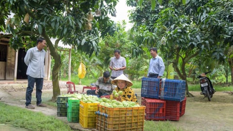 Đánh thức những miền đất: Nâng cánh đất cồn