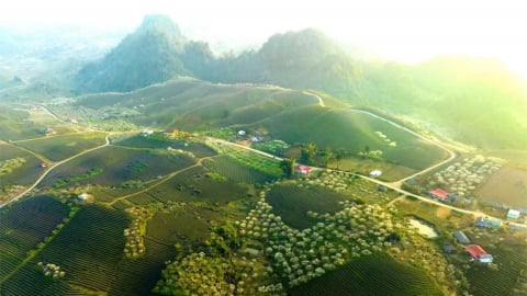 Đánh thức những miền đất: Ra đi là để trở về