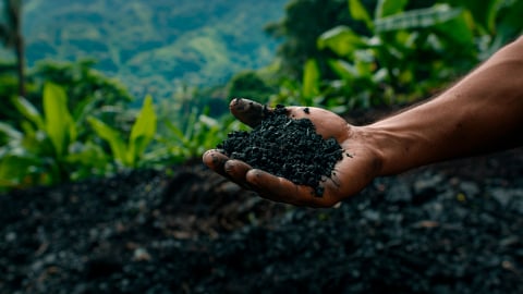 Biochar: Biến hàng triệu tấn phụ phẩm thành nguồn lợi triệu USD