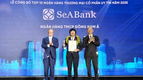 Top 10 ngân hàng thương mại tư nhân uy tín tiếp tục gọi tên SeABank
