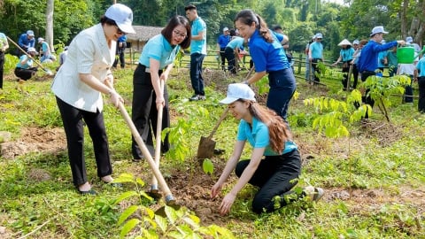 'Xanh hóa' trong hoạt động nội bộ, từ chiến lược đến hành động của Agribank