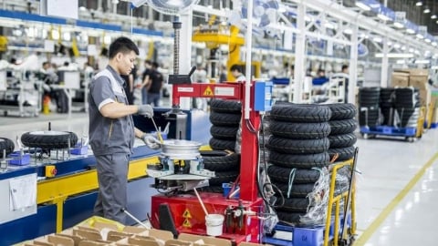 Vì sao nhiều DN tư nhân chọn 'đứng yên' hoặc 'mini hóa'?