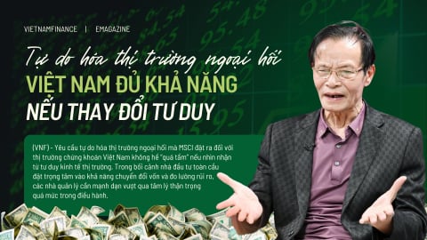 Tự do hoá thị trường ngoại hối: Việt Nam đủ khả năng nếu thay đổi tư duy