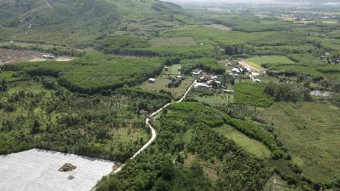 Phú Thọ: Chuyển đổi 43ha đất rừng làm khu đô thị sinh thái