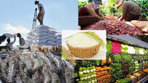Xuất khẩu nông, lâm, thủy sản 100 tỷ USD: Thách thức không nằm ở năng lực sản xuất