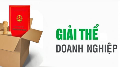 Gần 300.000 DN bị thuế yêu cầu giải thể: Chủ sở hữu cần làm những gì?