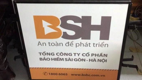 BSH chính thức đổi chủ, cổ phiếu tăng kịch trần 15%, khớp lệnh 75 triệu đơn vị